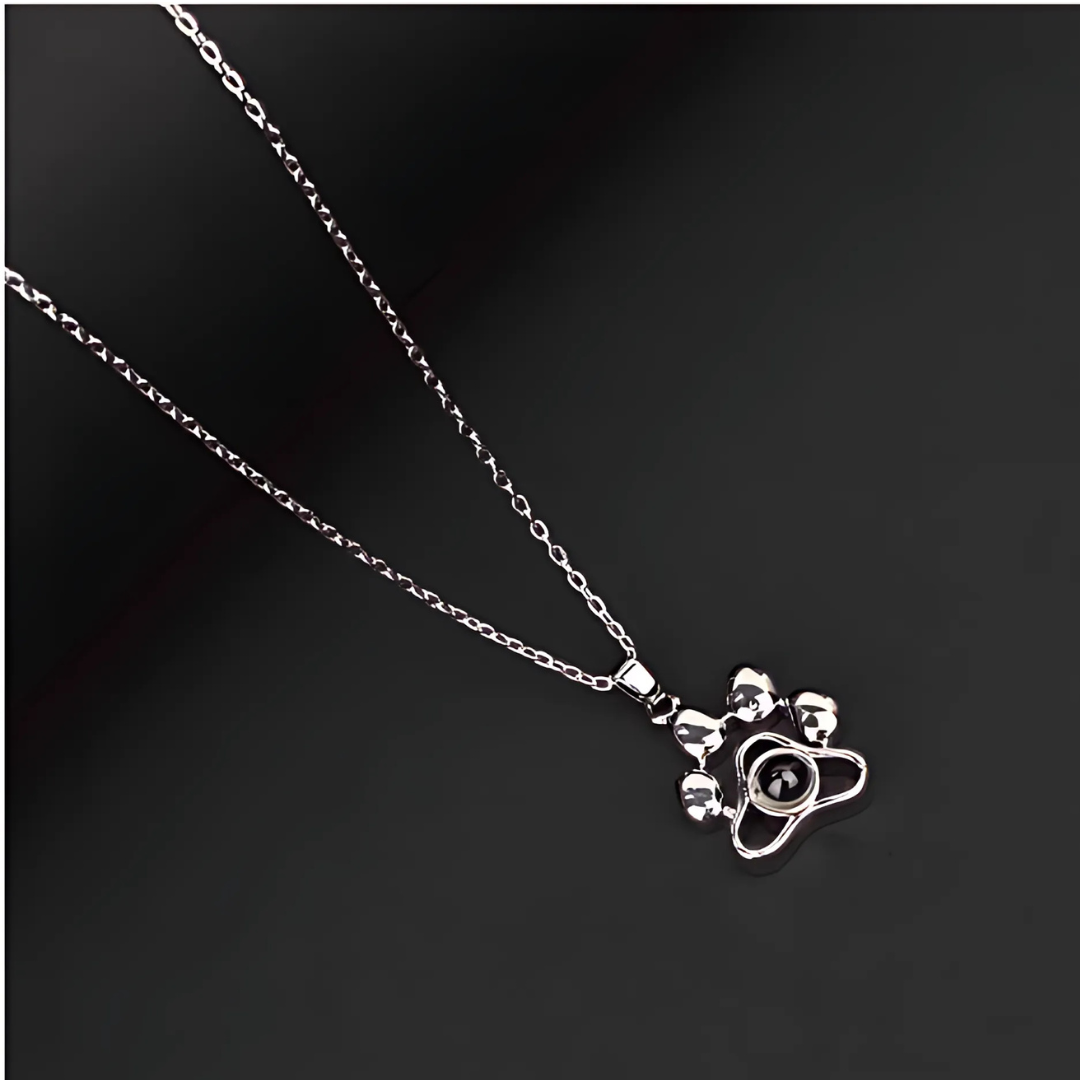 Collar personalizado con foto proyectada de tu mascota