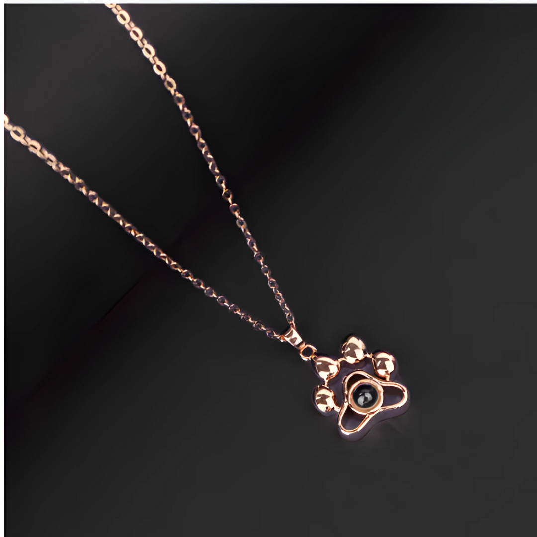 Collar personalizado con foto proyectada de tu mascota