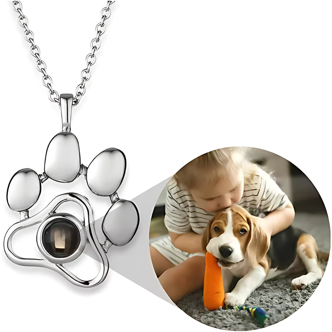 Collar personalizado con foto proyectada de tu mascota