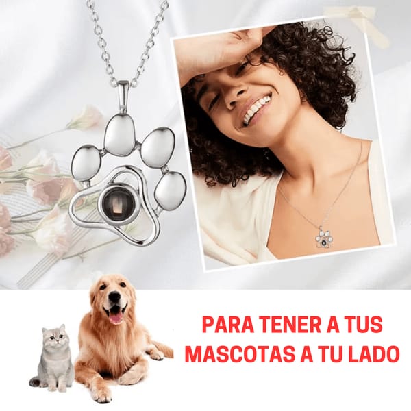 Collar personalizado con foto proyectada de tu mascota
