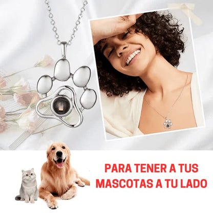Collar personalizado con foto proyectada de tu mascota