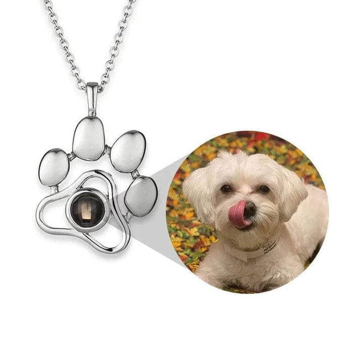 Collar personalizado con foto proyectada de tu mascota